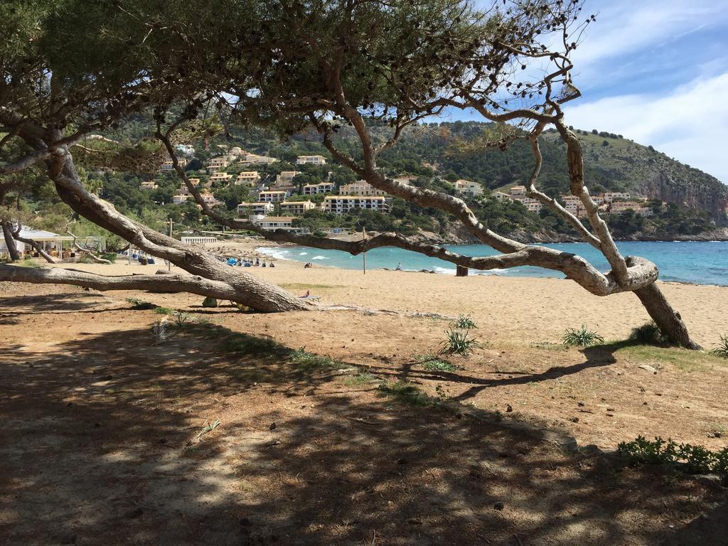 Canyamel Beach Pokoj fotografie